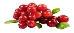 Cranberries