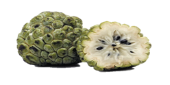 custard apple