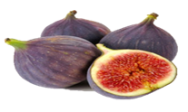 fig