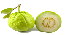 guava