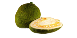 Jackfruit