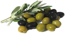 Olive fruit