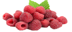 Raspberry