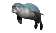 Seal