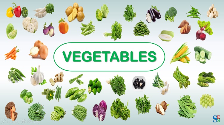 Vegetable names in English and Hindi